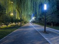 Nighttime in the City: Street Light Reflections in Beijing, China