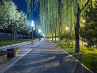 Nighttime in the City: Street Light Reflections in Beijing, China