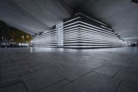 an architecture made up of white lines on a dark grey ground, with two people walking under them