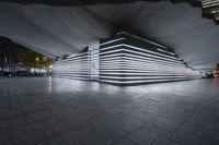 an architecture made up of white lines on a dark grey ground, with two people walking under them