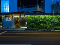 a street at night with a christmas tree and decorations on the wall next to it