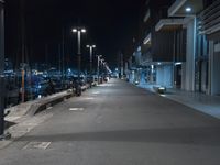 Nighttime in a Coastal City: Road Leading to the Harbor