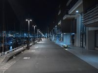 Nighttime in a Coastal City: Road Leading to the Harbor