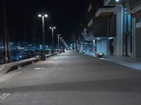 Nighttime in a Coastal City: Road Leading to the Harbor