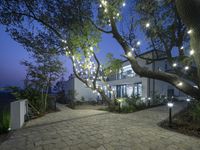 lighted trees line the path leading to an inviting outdoor garden and party tent for guests