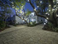 lighted trees line the path leading to an inviting outdoor garden and party tent for guests