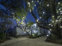 lighted trees line the path leading to an inviting outdoor garden and party tent for guests