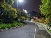 a couple of street signs near some trees and lights are on at night time with lights in the sky