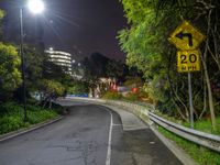 a couple of street signs near some trees and lights are on at night time with lights in the sky