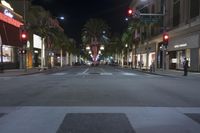 an empty street at night with palm trees in the distance and people walking on either side of it