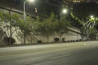 Nighttime Los Angeles Cityscape: A Play of Light and Art