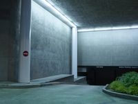 Nighttime in Los Angeles: Road City Architecture