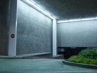 Nighttime in Los Angeles: Road City Architecture
