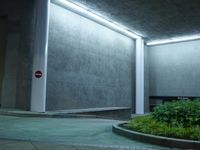 Nighttime in Los Angeles: Road City Architecture