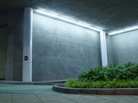 Nighttime in Los Angeles: Road City Architecture