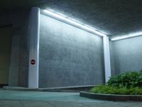 Nighttime in Los Angeles: Road City Architecture