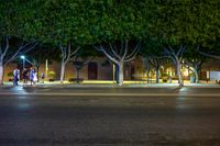 a group of people standing next to a parking meter at night with a few lights shining on the trees