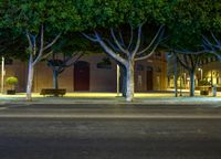 a group of people standing next to a parking meter at night with a few lights shining on the trees