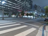 Nighttime in the Metropolis: A Lit-Up Cityscape