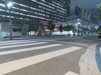 Nighttime in the Metropolis: A Lit-Up Cityscape