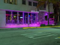 a purple neon strip lights up the night in a tropical area at twilight in miami