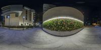 spherical photos with green plants growing on the sidewalk at night in front of buildings and a city street