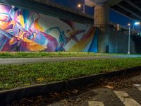 a mural in a tunnel by the highway at night with trees around it and two people near by