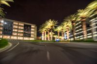 palm trees and buildings at night, blurry picture, seen from a passing vehicle