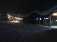 Nighttime Road and Houses in a Residential Area