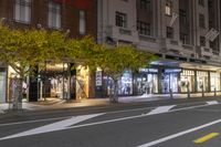 a sidewalk and a street corner at night time with trees growing on each side of it