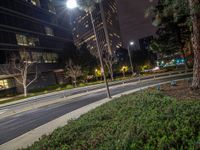 a city street lit up by street lamps, along with grass and bushes in the foreground