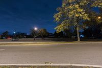 Nighttime Street in Suburban Detroit, Michigan