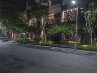 night shot on city street in urban setting with residential apartment building and trees beside it