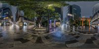 a series of three photographs of a street with some buildings in the background and two trees on the sidewalk