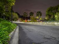 Nighttime Urban Life in Los Angeles