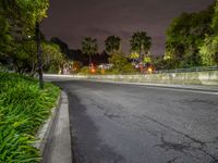 Nighttime Urban Life in Los Angeles