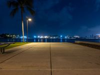 a bench is sitting on the sidewalk next to some lights of palm trees and the water