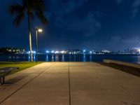 a bench is sitting on the sidewalk next to some lights of palm trees and the water