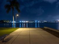 a bench is sitting on the sidewalk next to some lights of palm trees and the water