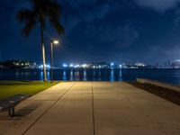 a bench is sitting on the sidewalk next to some lights of palm trees and the water