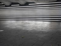 black and white photo showing neon lights inside of building at night time from low angle