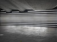 black and white photo showing neon lights inside of building at night time from low angle