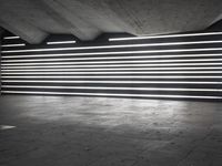 black and white photo showing neon lights inside of building at night time from low angle