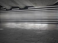 black and white photo showing neon lights inside of building at night time from low angle