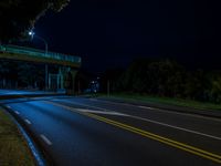 a street and a bridge during the night time lit up by a light from an overhead traffic lamp