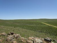 Nimmitabel Rural Landscape in New South Wales