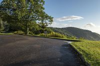 an empty paved road on top of a mountain with lots of trees next to it