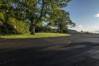 an empty black asphalt road is lined with trees and grass and water, at the end of a grassy road