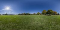 a large open green field near trees on a sunny day at the park and bright blue sky