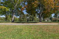 a woman riding a skateboard through a park on the sidewalk area in front of trees